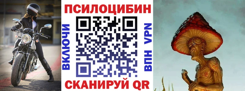 закладки  Калачинск  Псилоцибиновые грибы GOLDEN TEACHER 